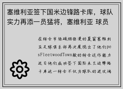 塞维利亚签下国米边锋路卡库，球队实力再添一员猛将，塞维利亚 球员