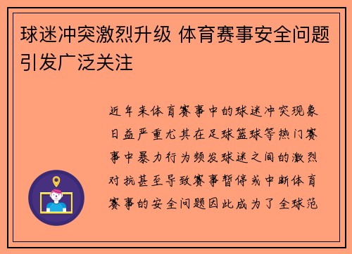球迷冲突激烈升级 体育赛事安全问题引发广泛关注