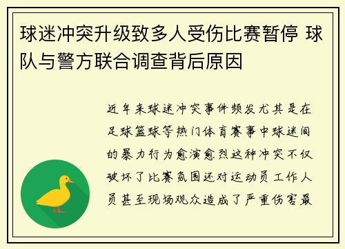 球迷冲突升级致多人受伤比赛暂停 球队与警方联合调查背后原因